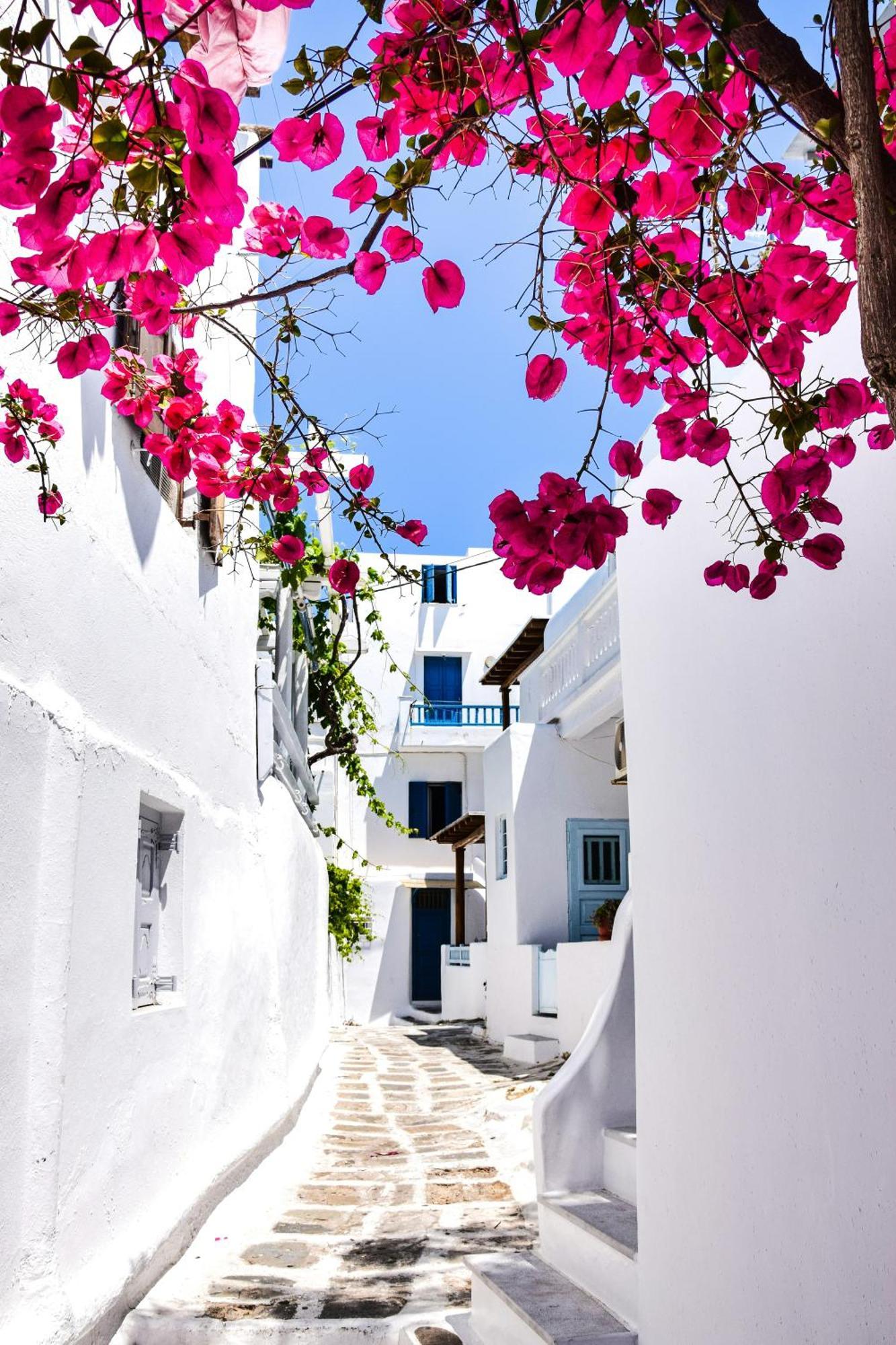 Aniko Suites White Alley Mykonos Town Buitenkant foto